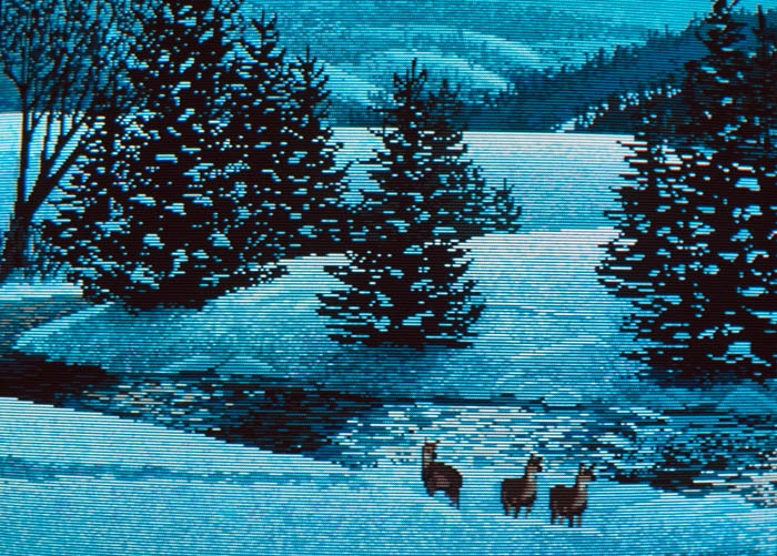 Winter Scene, NTSC
